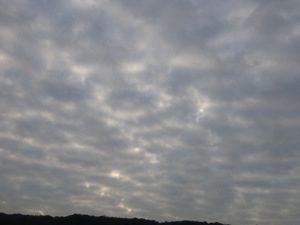 朝一番のモコモコ雲