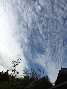 morning sky, Omuta, Nov.6, 2014